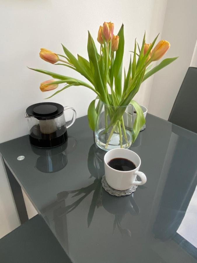 Lovely And Modern Studio Apartment. Borehamwood Exterior photo